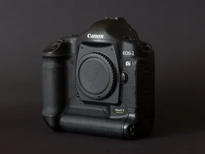 Canon 1Ds mark II – достоинства и недостатки | macfred.ru