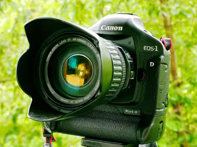 Canon EOS 1D Mark III: старая репортажная фотокамера | ОВЧ-канал | Дзен