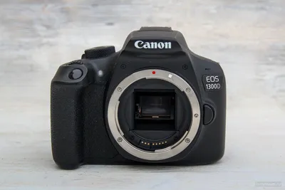 Canon 1300D | обзор с примерами фото | Иди, и снимай!