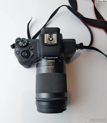 Canon Беззеркальная камера EOS M50 Kit 18-150mm - «Беспристрастный обзор и  примеры фото » | отзывы