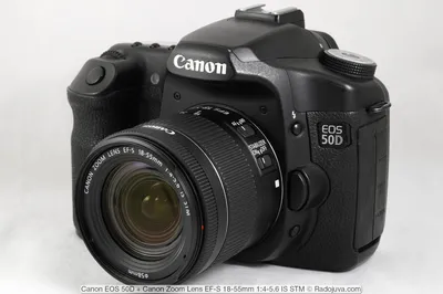 Краткий обзор Canon EOS 50D | Радожива