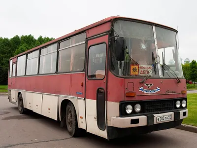 Как «Икарус» стал любимым автобусом в СССР - Экспресс газета