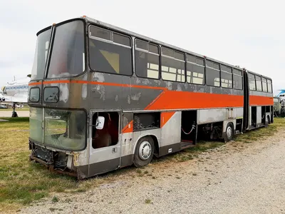Автобус, который мог заменить аэропорт: 5 сумасшедших фишек уникального  Ikarus 695.01 - читайте в разделе Подборки в Журнале Авто.ру