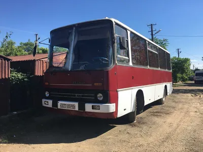 Автобусы Ikarus: купить автобус Ikarus новый и бу на OLX.ua Украина