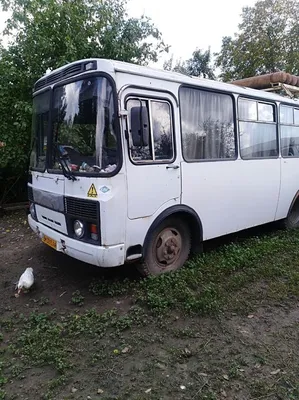 Автобусы ПАЗ Сумская область: купить автобус ПАЗ новый и бу на OLX.ua  Украина Сумская область