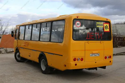 Школьный автобус ПАЗ. Заказать желтый автобус ПАЗ для детей и школьников в  Москве.