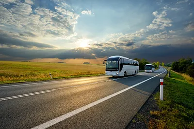 Белорусские турфирмы возрождают автобусные туры в Европу