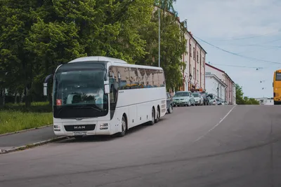 Автобусные туры из СПб: какой лучше выбрать Выбирайте лучший автобусный тур  из СПб на сайте Шарм Тревел