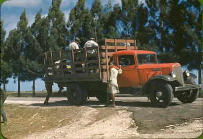Бортовой грузовой автомобиль International C-30. США - Карготека