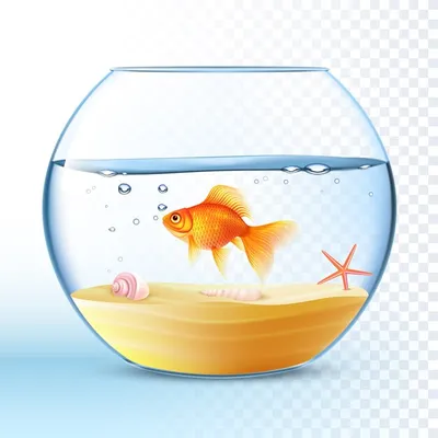 Золотая рыбка Изображения – скачать бесплатно на Freepik