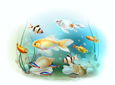 Иллюстрация Аквариумные рыбки. Золотая рыбка. в стиле детский,