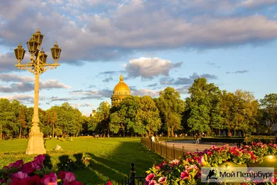 Санкт-Петербург - Александровский сад. | Facebook