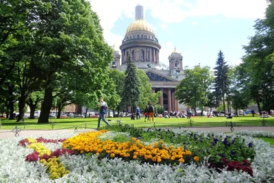 Александровский парк (Санкт-Петербург) — Википедия