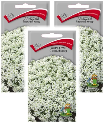 Комплект семян Алиссум Снежный ковер однолет. х 3 шт. — купить в  интернет-магазине по низкой цене на Яндекс Маркете