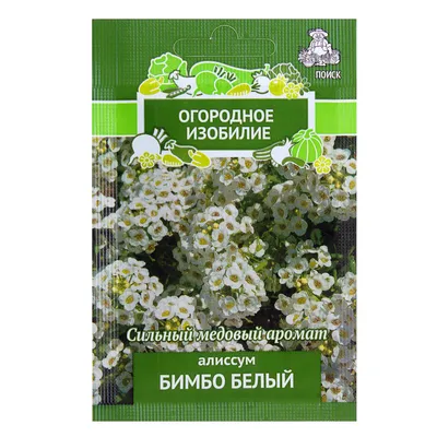 Алиссум «Бимбо» цвет белый в Москве – купить по низкой цене в  интернет-магазине Леруа Мерлен
