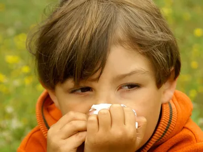Аллергия на виноград у ребенка фото