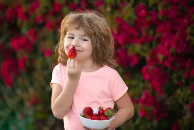 Что делать, если у ребёнка возникла аллергия на фрукты | Супрастин и  Супрастинекс | Дзен