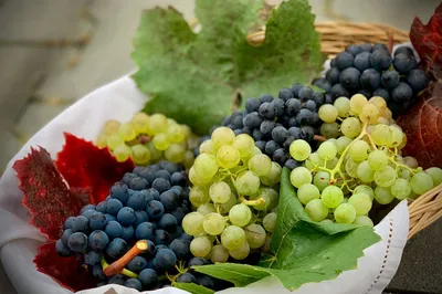 Почему виноград вреден для здоровья?