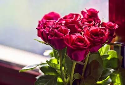 Обои цветы, алые, букет, Розы на рабочий стол