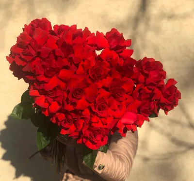 Алые розы купить в Азове - Заказать с доставкой недорого