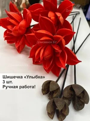 Алые цветы лотоса 3 шт. Домовенок Бу 59074685 купить за 297 400 сум в  интернет-магазине Wildberries