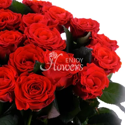 Букет из 25 роз \"Алые розы\", артикул: 200523 в интернет магазине  EnjoyFlowers.ru ❀ с доставкой по Москве