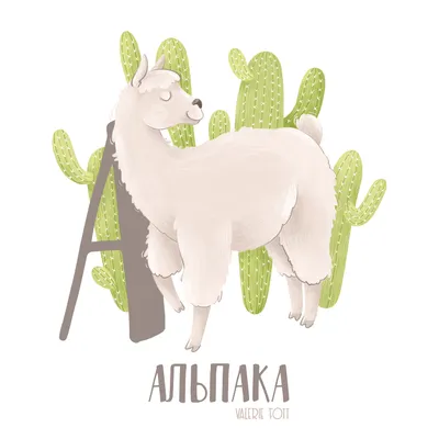 В Челябинском зоопарке появилась альпака по имени Сильва