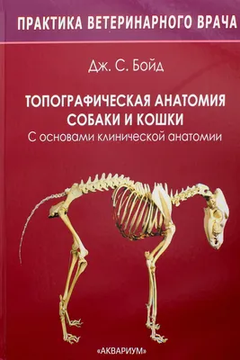 Книга «Топографическая анатомия» Бойд Дж. С. - купить на KNIGAMIR.com книгу  с доставкой по всему миру | 9785423803742