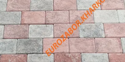 Тротуарная плитка Харьков купить - цена от производителя, доставка по  Украине