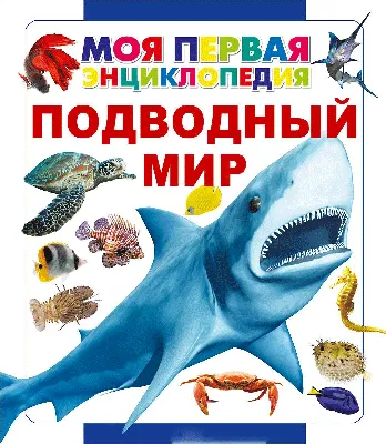 Подводный мир — Анна Спектор купить книгу в Киеве (Украина) — Книгоград
