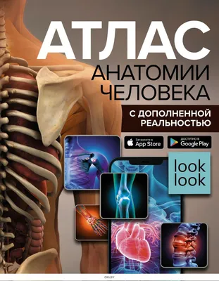 Купить Атлас анатомии человека с дополненной реальностью | Спектор Анна в  интернет-магазине OKi.by с доставкой или самовывозом