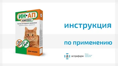 Правильная обработка кошки от внешних и внутренних паразитов | НВП  «Астрафарм»