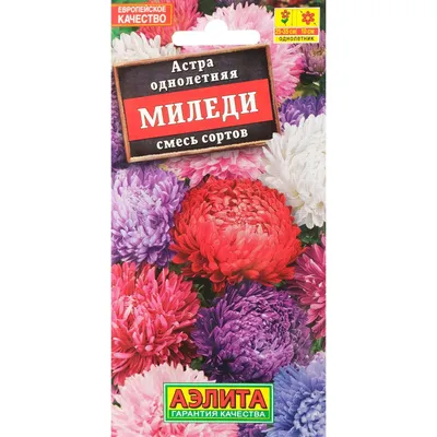Семена Астра Миледи, смесь окрасок , 0,2г (5370993) - Купить по цене от  16.20 руб. | Интернет магазин SIMA-LAND.RU