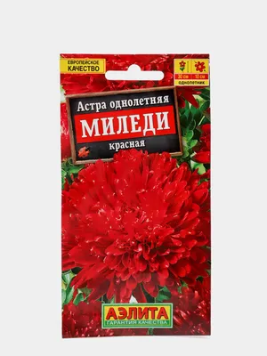 Астра Миледи красная, семена (Аэлита) купить по цене 50.45 ₽ в  интернет-магазине KazanExpress