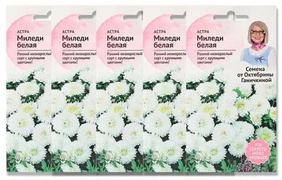 Набор семян Астра Миледи белая 0.2 г - 2 уп. — купить в интернет-магазине  по низкой цене на Яндекс Маркете