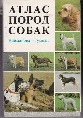 Определитель пород собак (65 фото) - картинки sobakovod.club