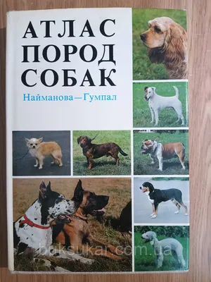 Книга Атлас Пород Собак. Найманова - Гумпал — в Категории \"книги для Вашего  Хобби\" на Bigl.ua (1737008674)