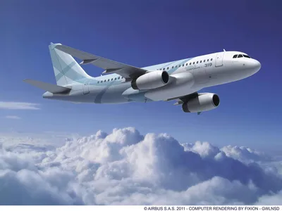 SAS Airbus 319 lands editorial stock image. Image of planes - 17243799