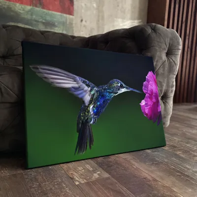 Картина на холсте \"Птица, колибри (цветок на черном фоне эффект бабочка с  хоботком похожая)\" 20x30 см. - купить по низкой цене в интернет-магазине  OZON