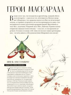 Иллюстрация 8 из 127 для Музей живых насекомых - Франсуа Лассерр | Лабиринт  - книги. Источник: Лабиринт