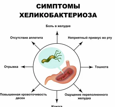 Хронический гастрит и бактерия Helicobacter Pylori: причины, симптомы,  диагностика и лечение
