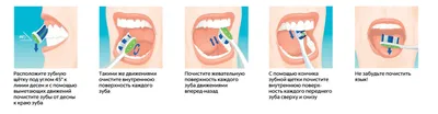 Поликлиника :: новости :: Здоровье полости рта начинается с чистых зубов
