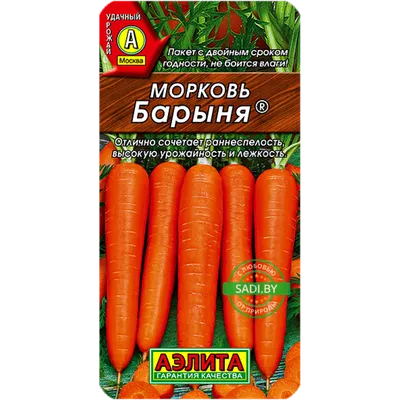 Купить морковь Барыня 2 г семена с доставкой почтой по Беларуси