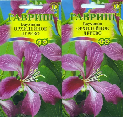 Семена цветов Баухиния Орхидейное дерево — купить в интернет-магазине по  низкой цене на Яндекс Маркете