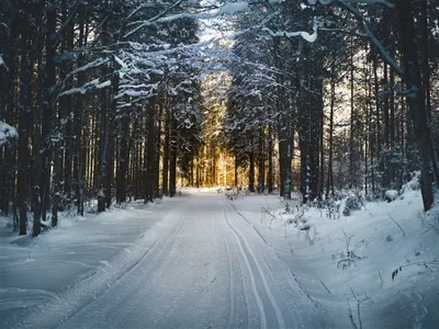 Лучшие маршруты по Беларуси зимой: чек-лист для туристов