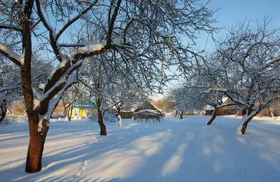 Белорусская зима | Фотоэнциклопедия Беларуси