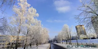 В первый день календарной зимы в Беларуси будет до -7 | Новости Беларуси |  euroradio.fm
