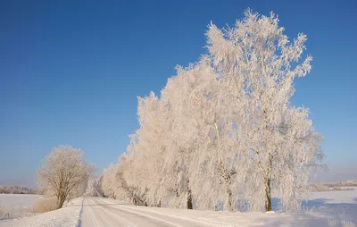 Белорусская зима фото | Фотоэнциклопедия Беларуси