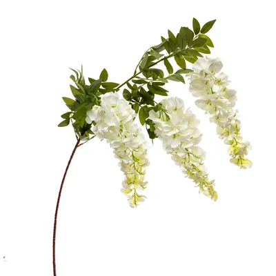 Купить Цветок искусственный \"Акация белая\", цена 229 ₴ — Prom.ua  (ID#1404697588)