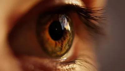 Желтые глаза: причины и болезни, которые могут привести к желтизне белков  глаз
